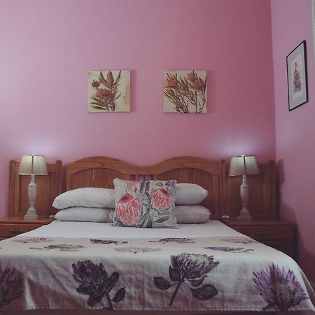 Homebase Melville Backpackers Йоханесбург Екстериор снимка